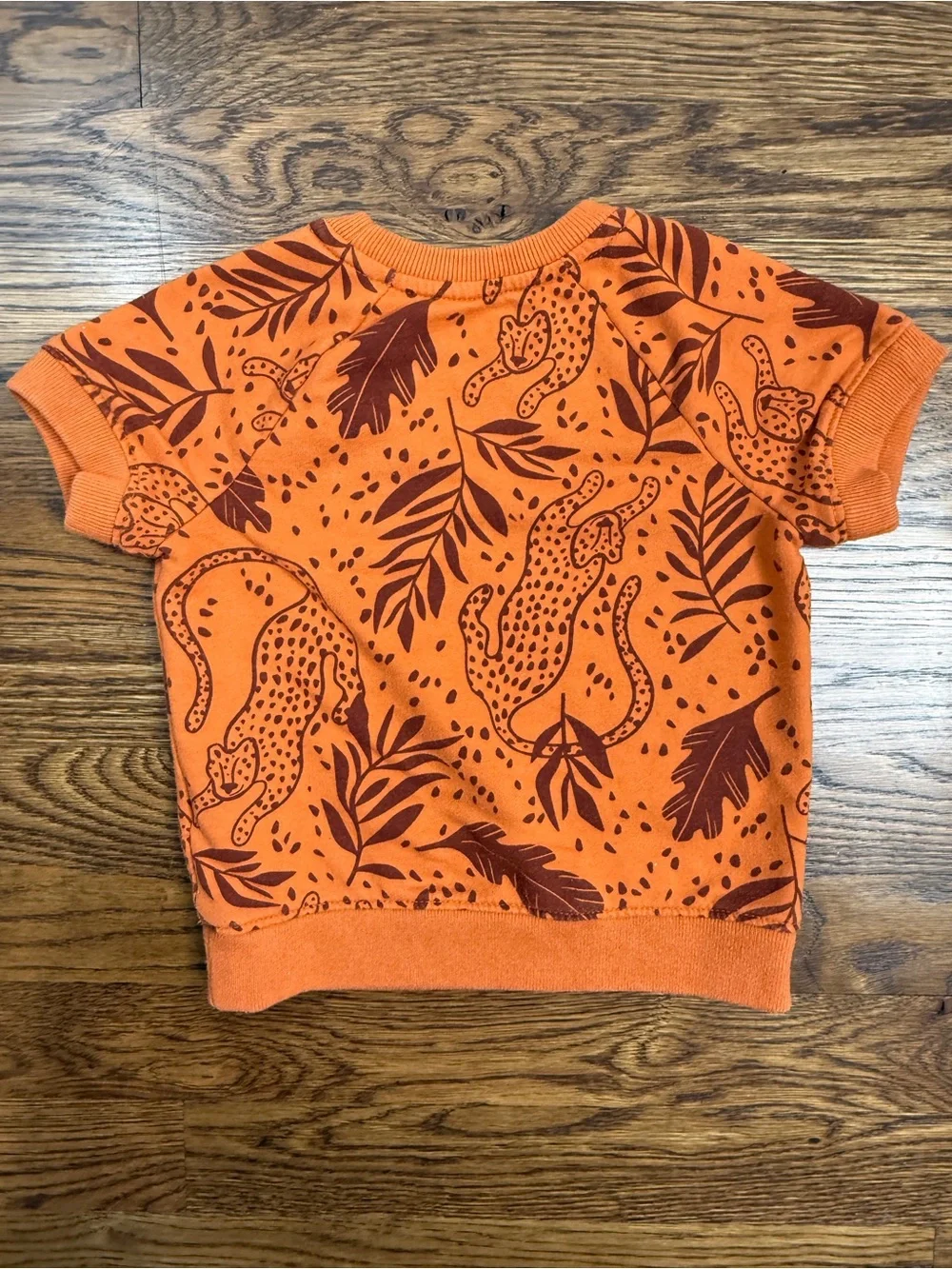 Cat & Jack x Danielle Peterson Kids Cheetah Print Sweatshirt/ Short Set 18 M